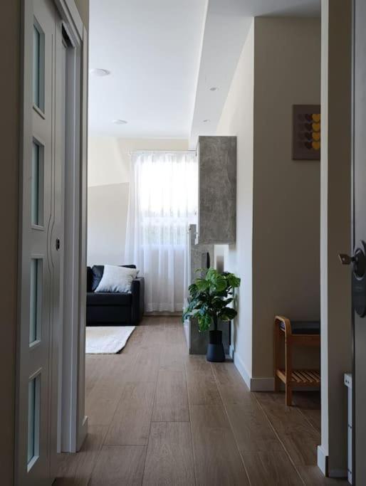 Amplio Y Tranquilo Apartamento Casa سلامنكا المظهر الخارجي الصورة